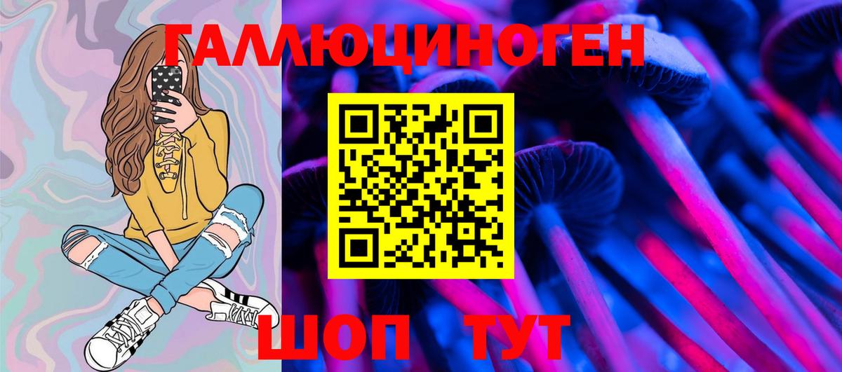 Абинск  Псилоцибиновые грибы MAGIC MUSHROOMS  где купить наркоту  Вход с VPN 